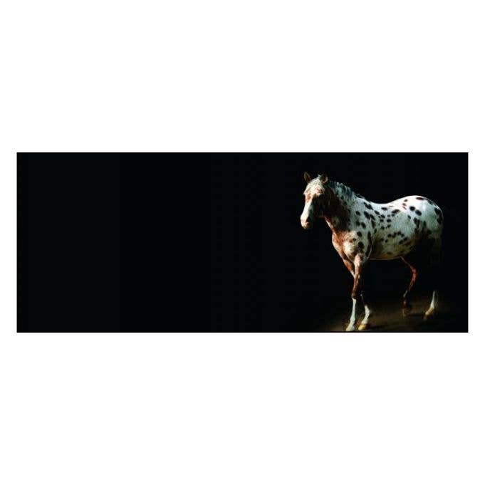 Horse Whisperings (Small Format): Portraits by Bob Tabor