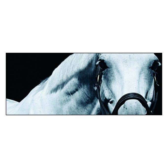 Horse Whisperings (Small Format): Portraits by Bob Tabor