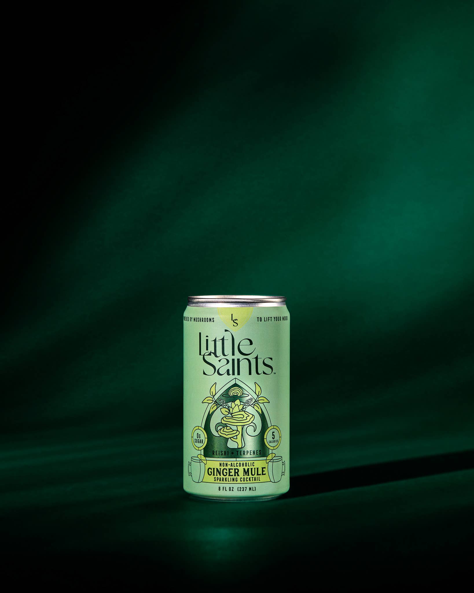Little Saints Ginger Mule 8oz Can