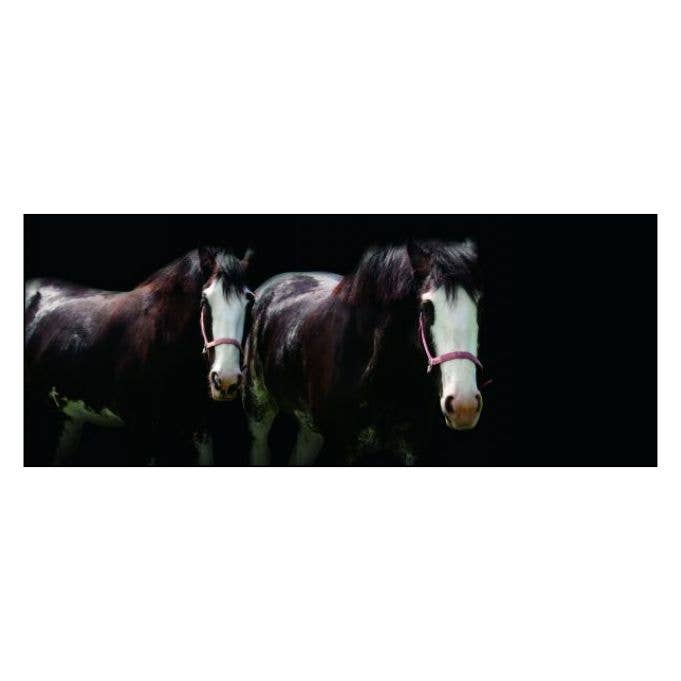 Horse Whisperings (Small Format): Portraits by Bob Tabor