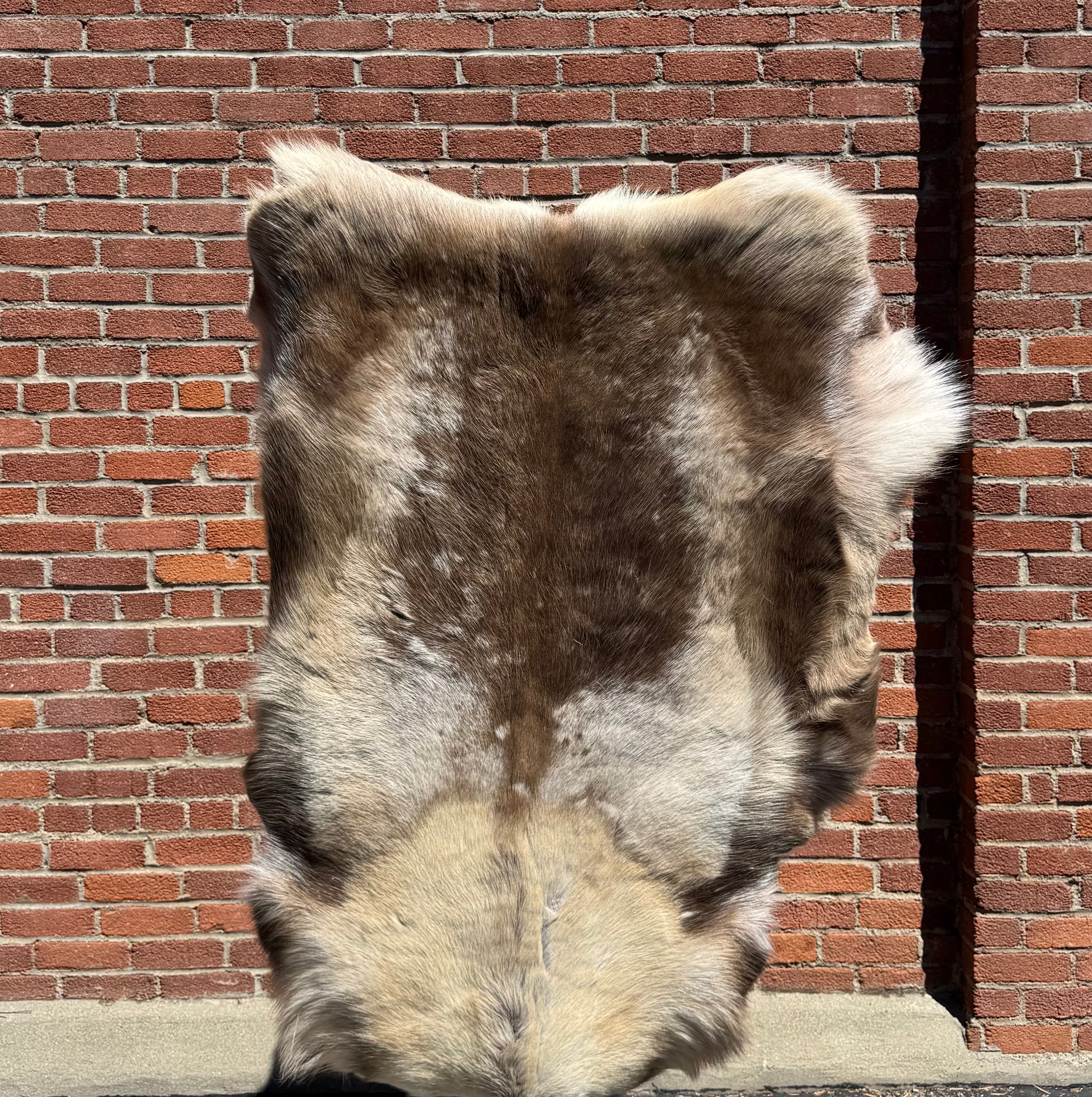 Caribou Hide 3