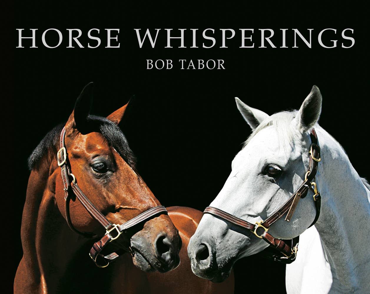Horse Whisperings (Small Format): Portraits by Bob Tabor