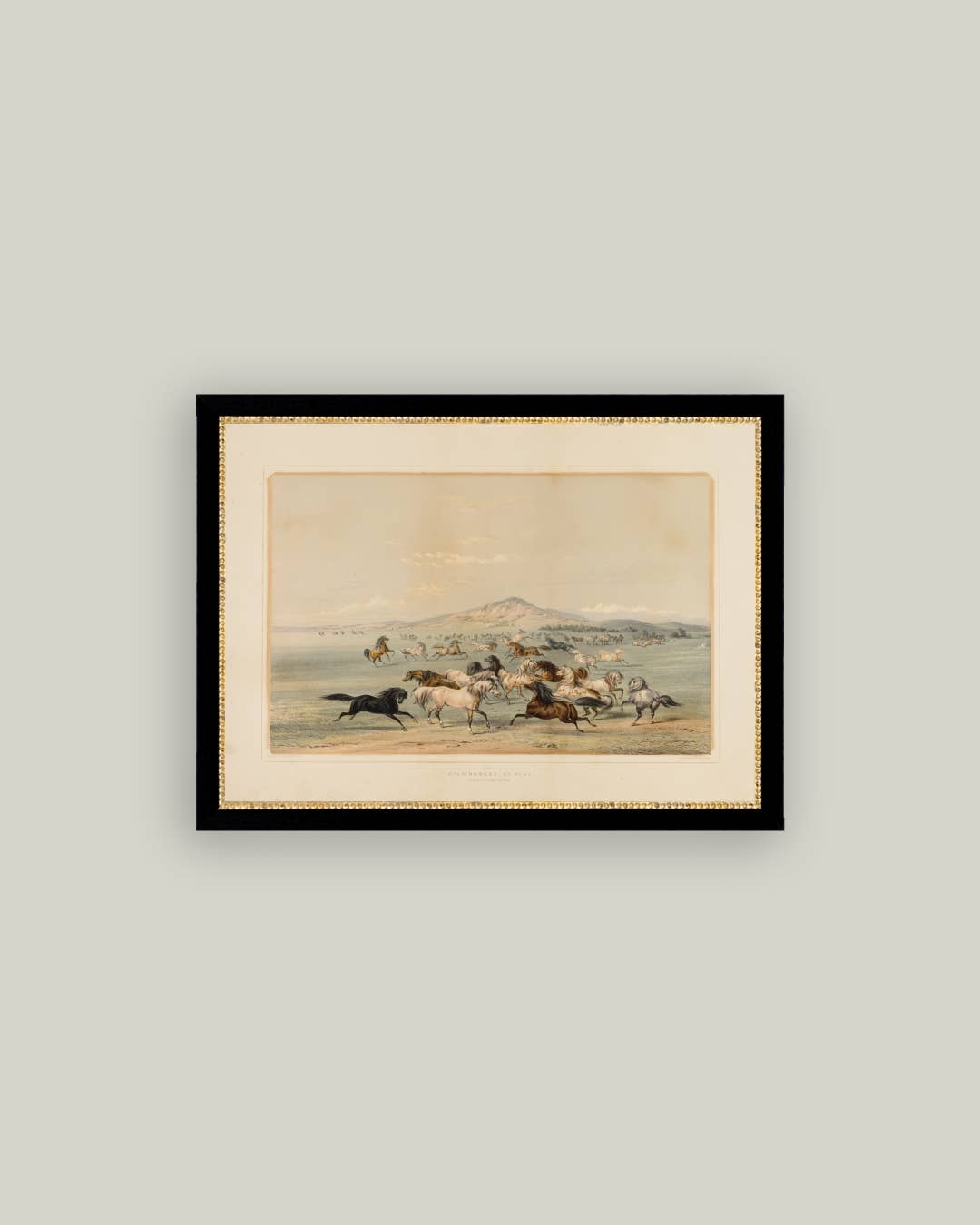 Field Of Wild Horses Framed Antique Art