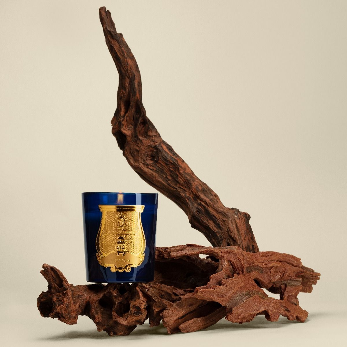 TADINE - SENSUALITY OF SANDALWOOD