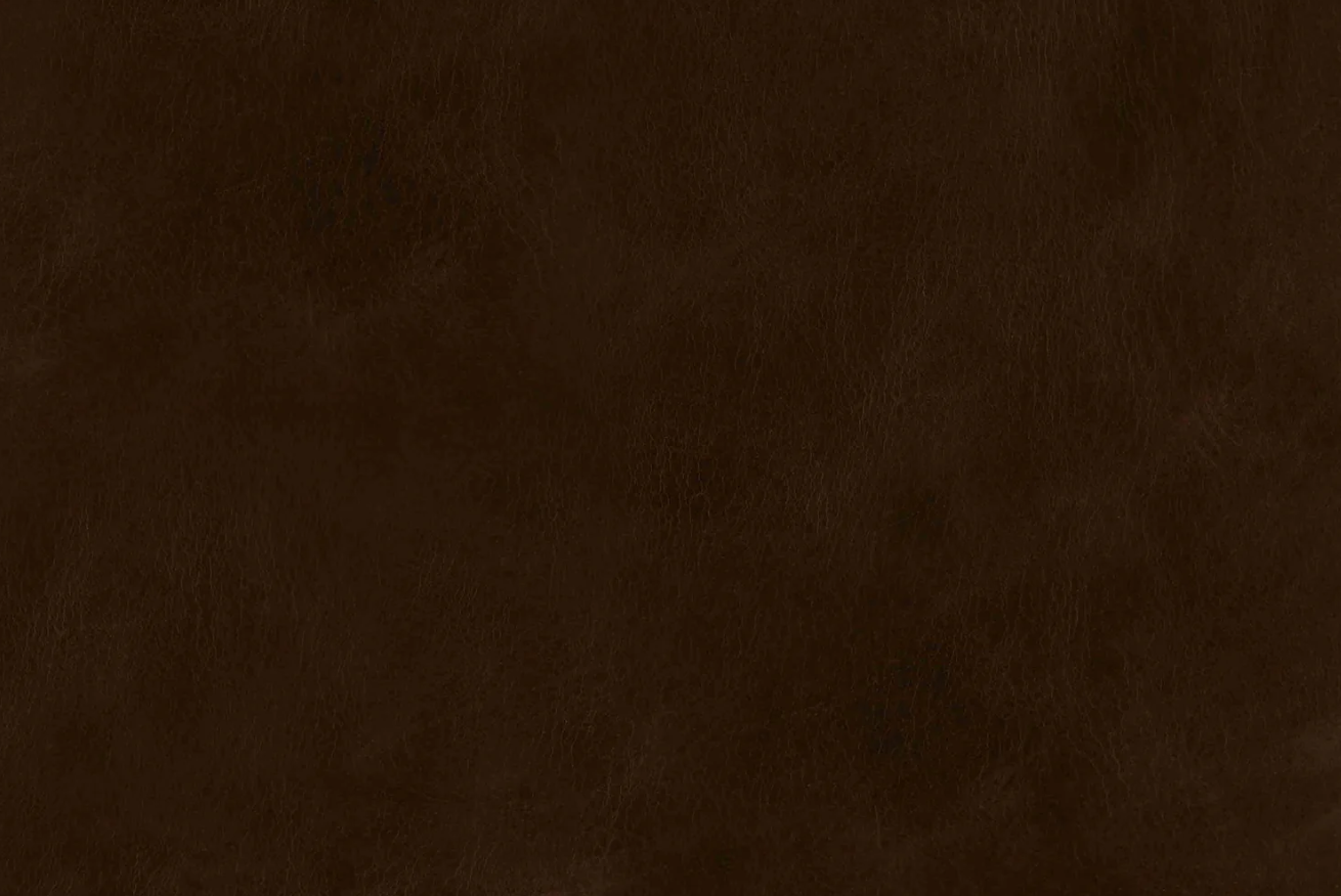 ACACIA CHAIR LEATHER
