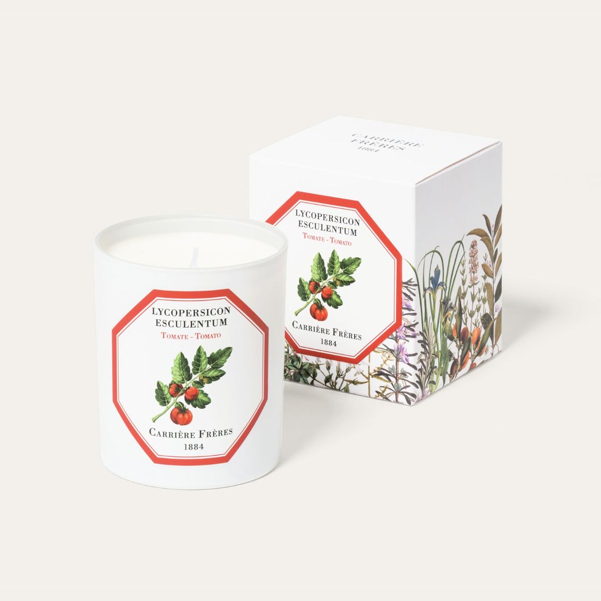 LYCOPERSICON ESCULENTUM TOMATO CANDLE