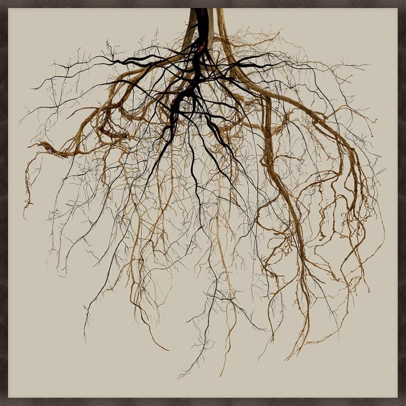 'Rooted' Artwork