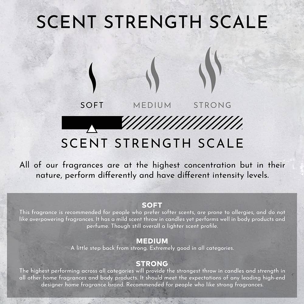 55oz Inspired by The Ritz Carlton Hotel® Candle Marine | Ber