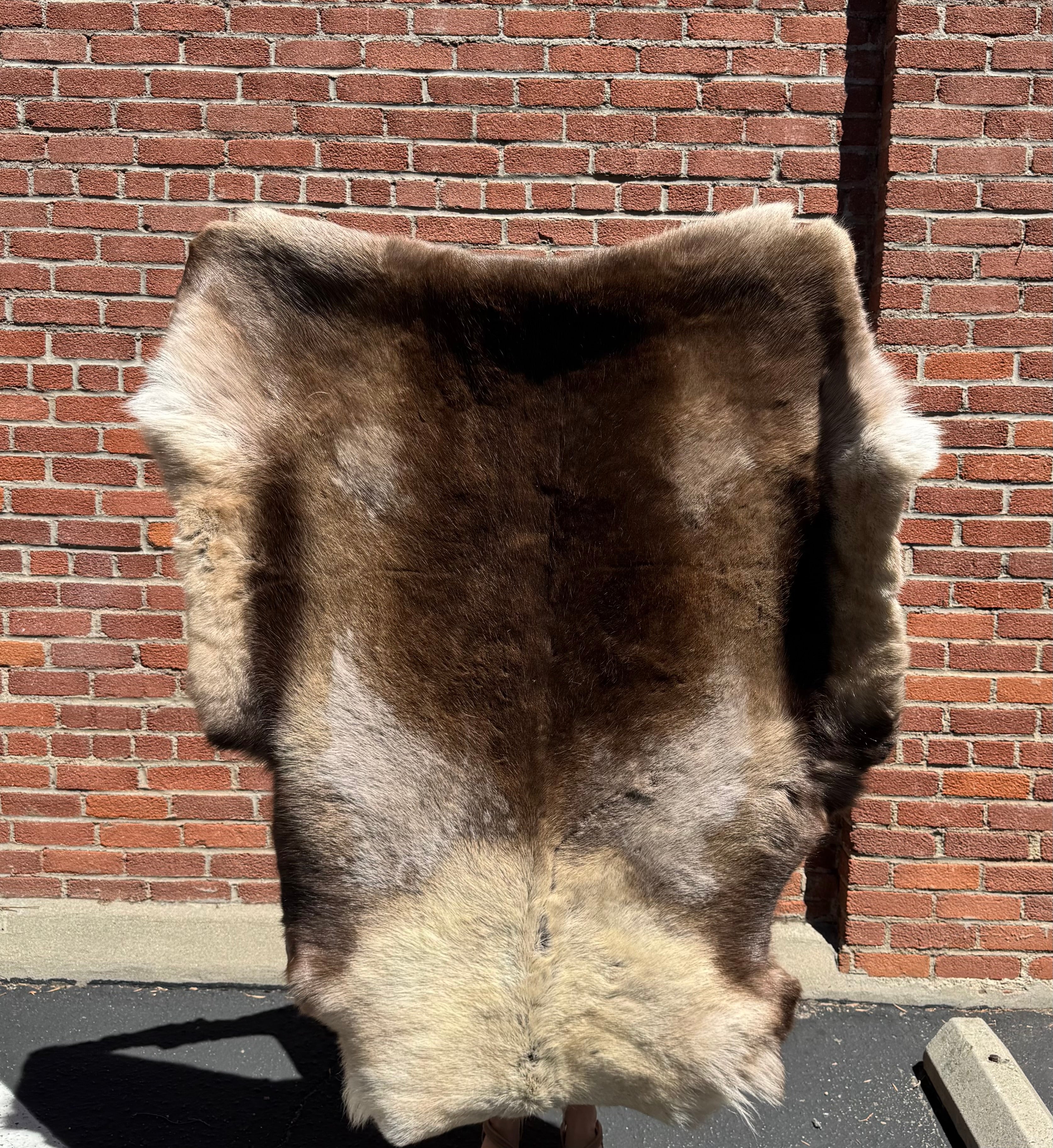 Caribou Hide 2