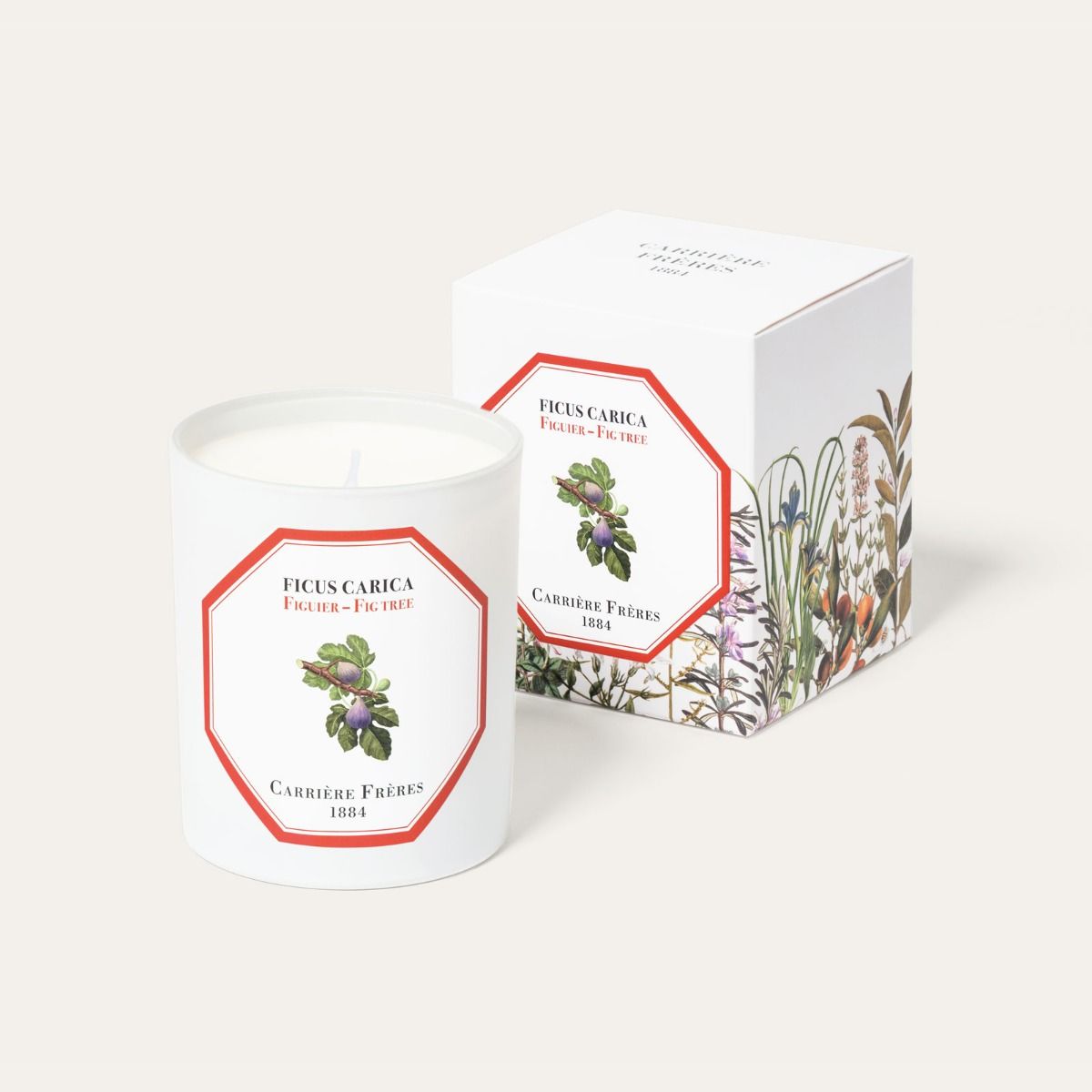 FICUS CARICA FIG TREE CANDLE